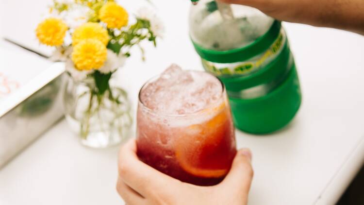 Vinyls, Vermouth, and Italian Flavors at Sole Di Parma
