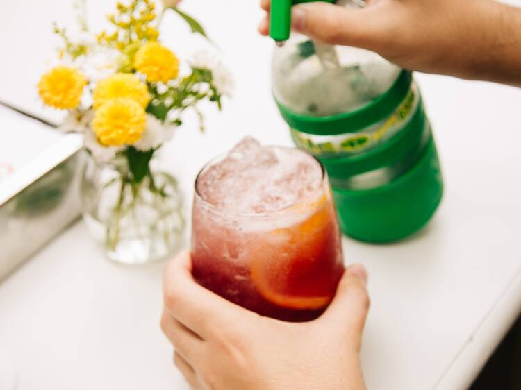 Vinyls, Vermouth, and Italian Flavors at Sole Di Parma