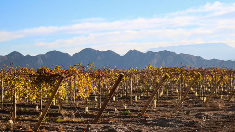 La Rioja Wine Route