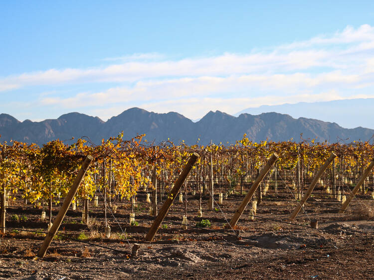 La Rioja Wine Route