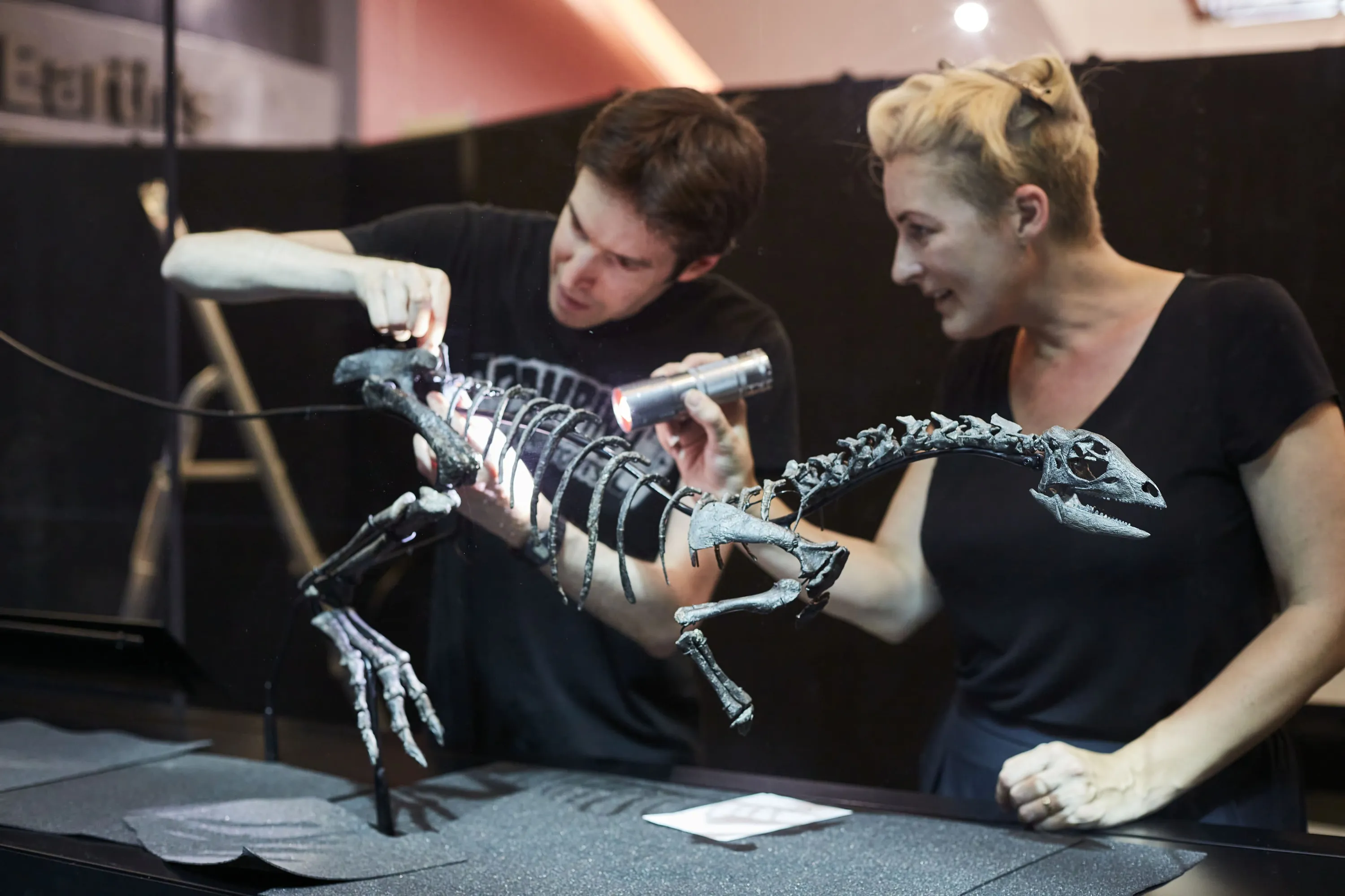 Two scientists putting together a dinosaur skeleton