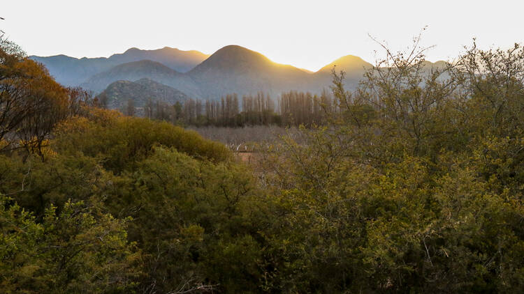 La Loma Farm