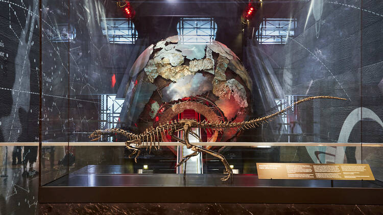 A dinosaur skeleton at the Natural History Museum