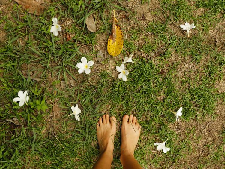 Qué es digital sabbatical y cuáles son sus beneficios