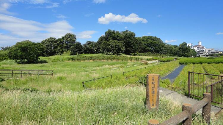 津堂城山古墳