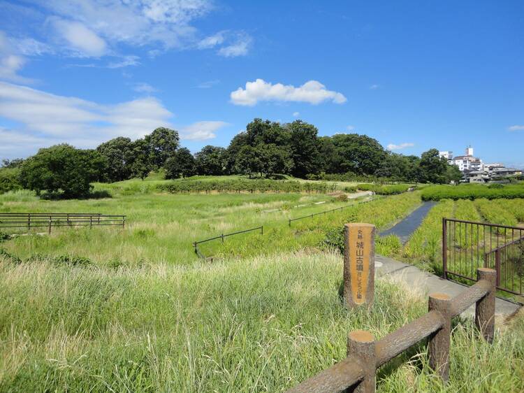 津堂城山古墳