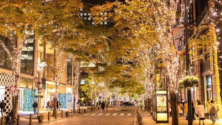 Embark on a scenic night walk