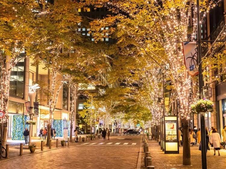 Embark on a scenic night walk