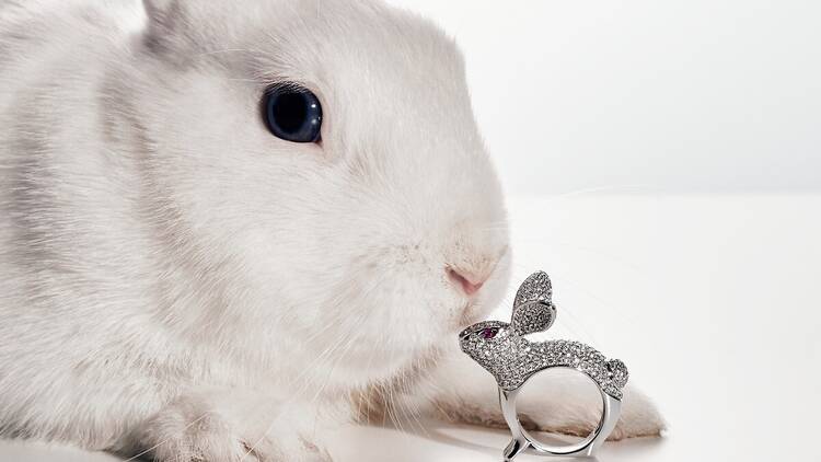 Mio Harutaka jewellery