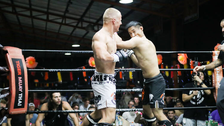 BBQ Beatdown and boxing