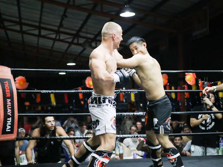 BBQ Beatdown and boxing