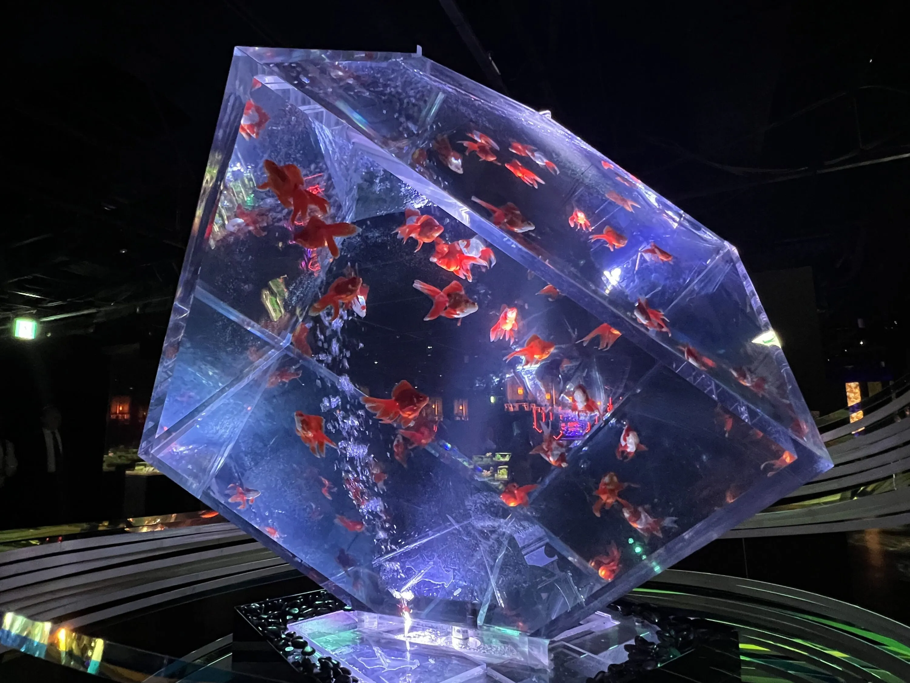 夏のアートアクアリウム2025
