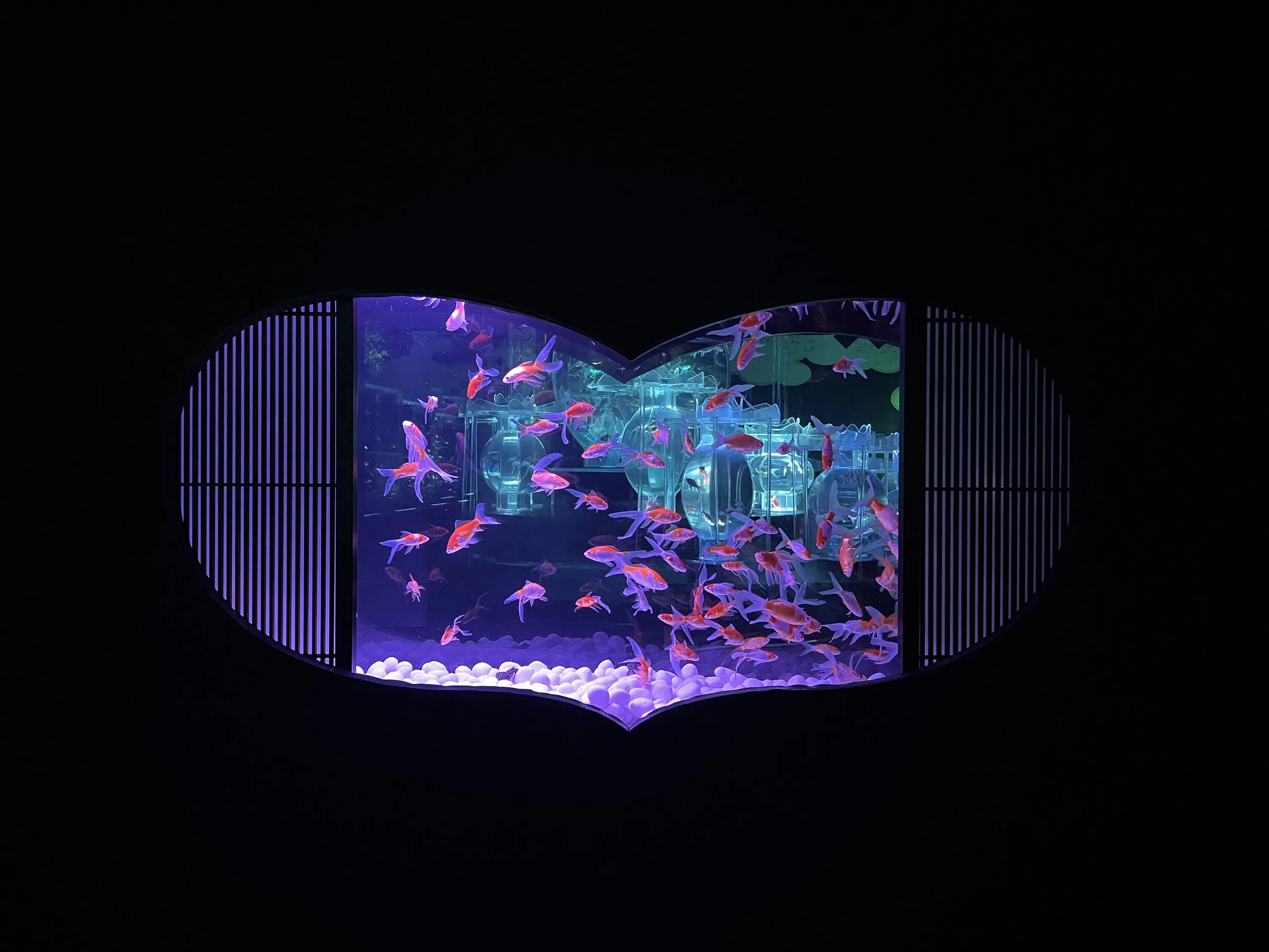 夏のアートアクアリウム2025