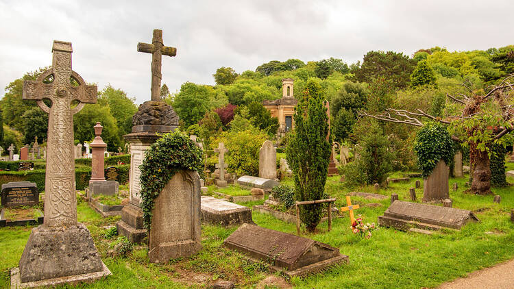 Have a peaceful moment at Arnos Vale Cemetery