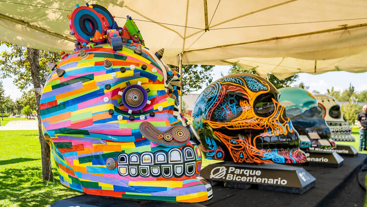 Mexicraneo bosque de aragon 2025