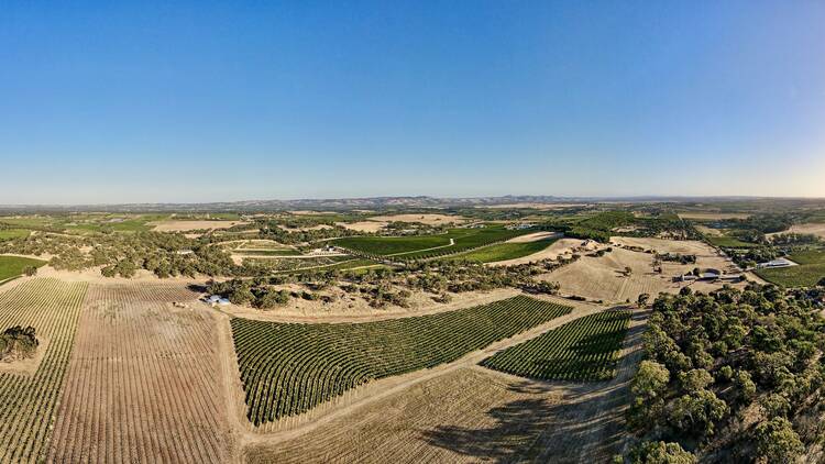 Tscharke Wines
