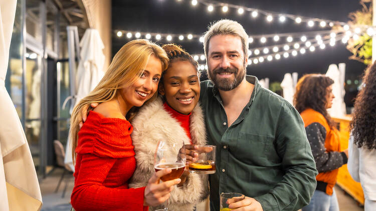 Friends smiling toasting at camera in a bar at night