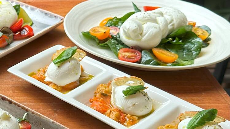 Latteria Mozzarella Bar