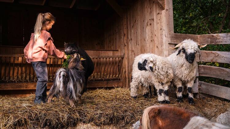 Farm at Sonnwies Dolomites hotel