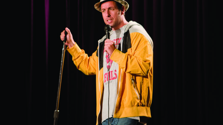 Funny People (2009)