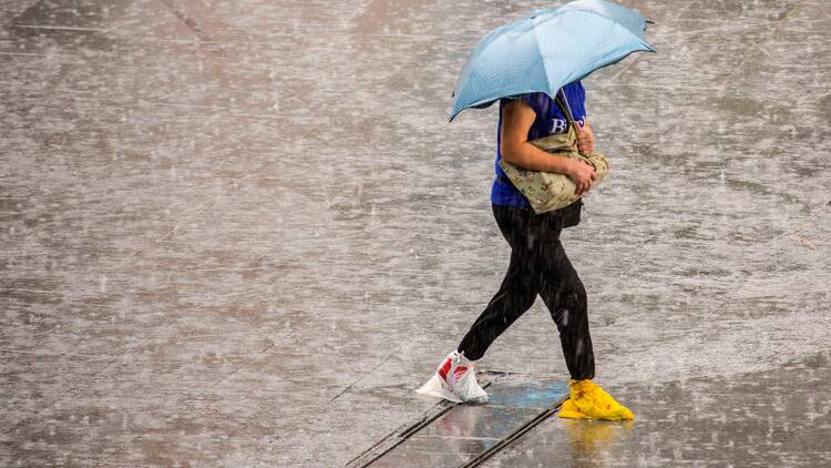 Rain
