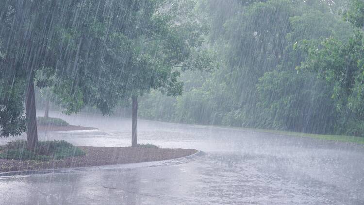 Montreal has broken an all-time daily rainfall record with over 150 mm of rain
