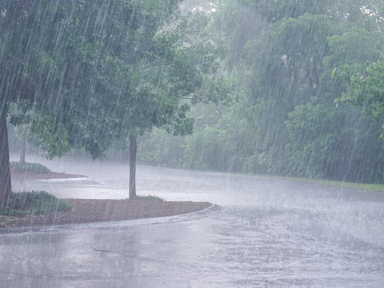 Montreal has broken an all-time daily rainfall record with over 150 mm of rain