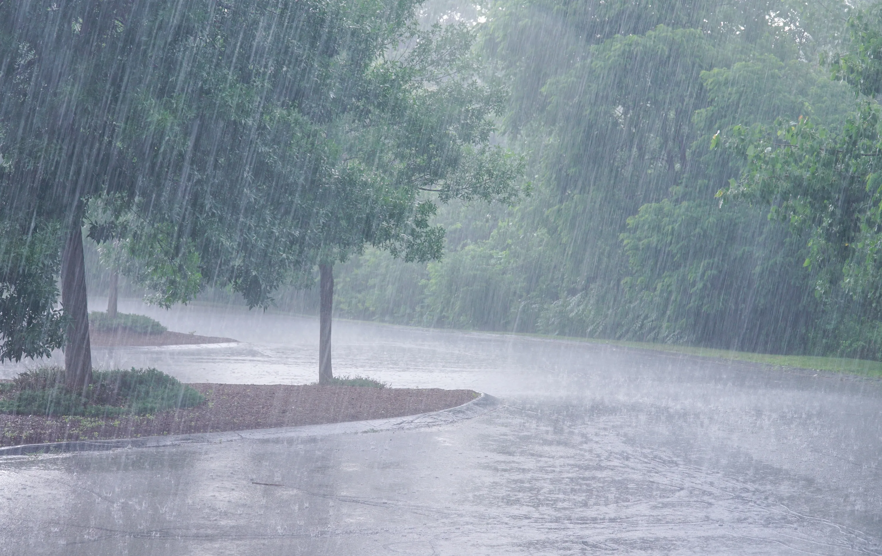 Rain