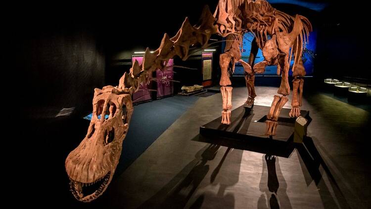 A giant dinosaur in Thays Park