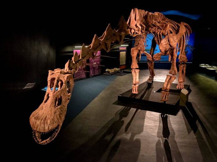 A giant dinosaur in Thays Park