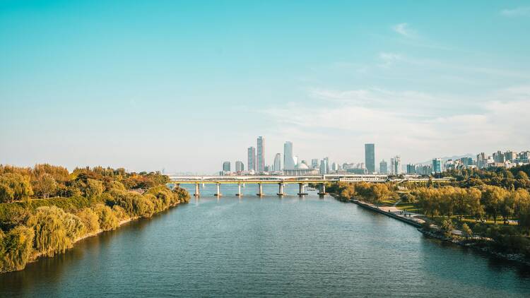 汝矣島漢江公園：江邊炸雞野餐