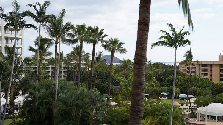 Kea Lani