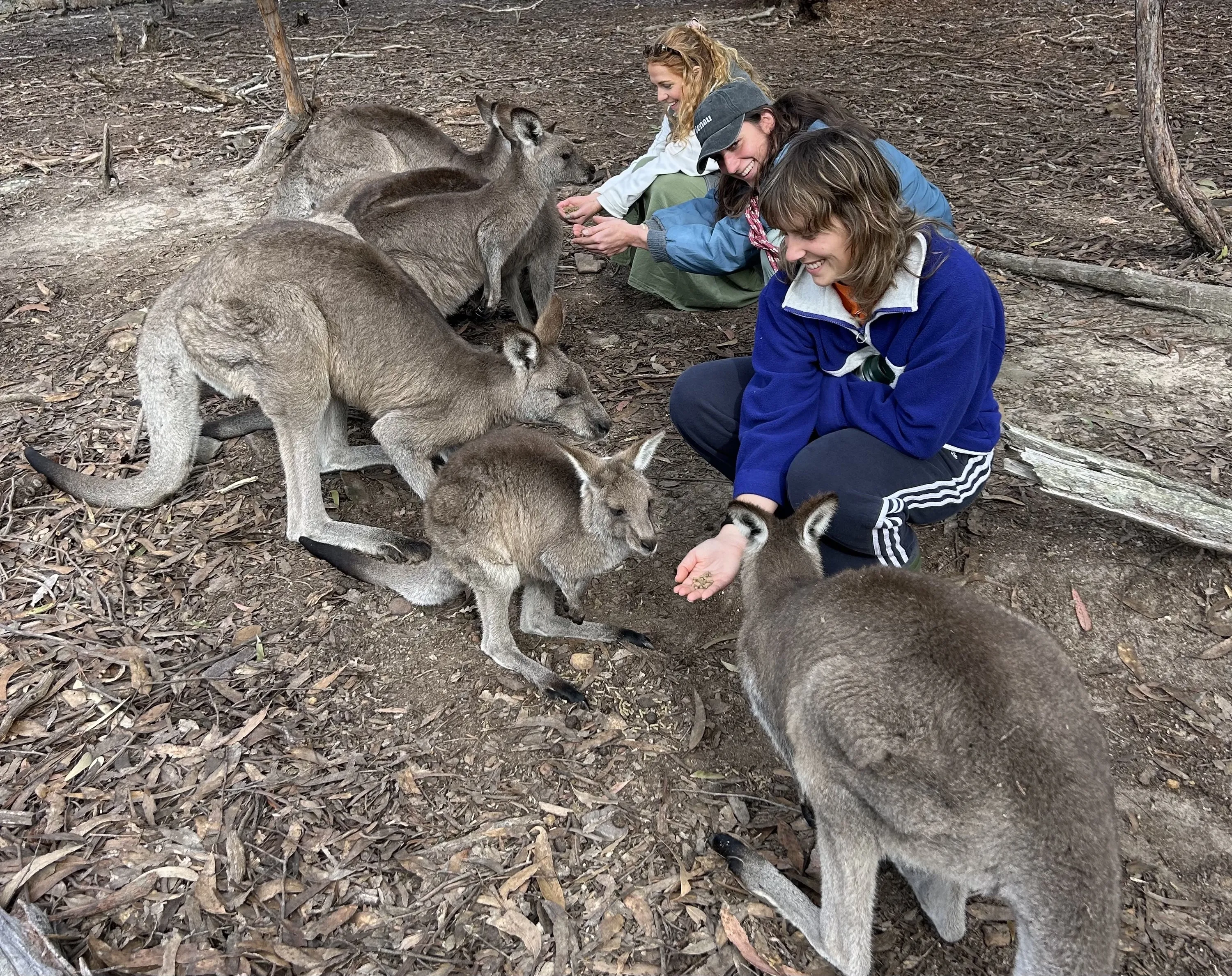 Hills Wildlife Sanctuary