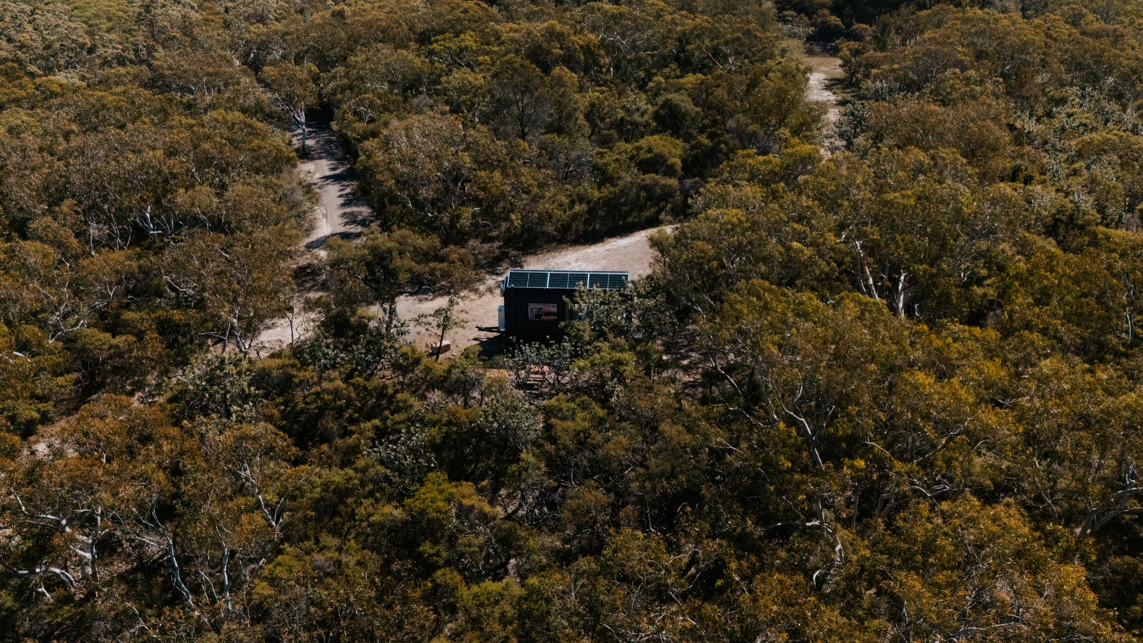 Into The Wild Escapes