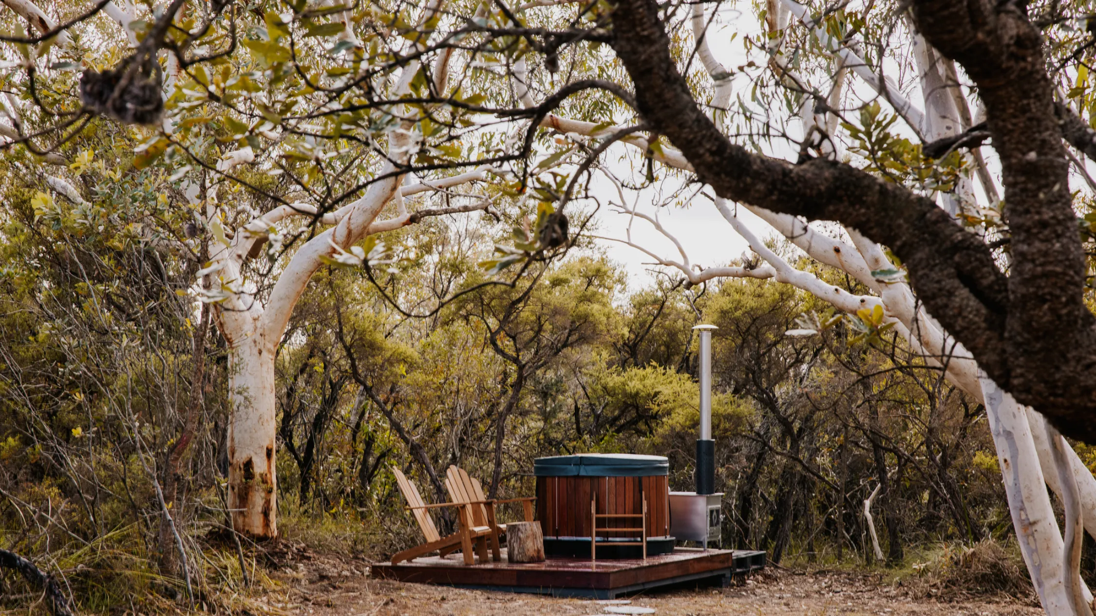Into The Wild Escapes
