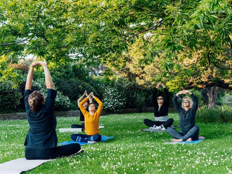 Sesiones de yoga al atardecer y películas gratis, entre los planes que llegan a este popular parque de Chamberí