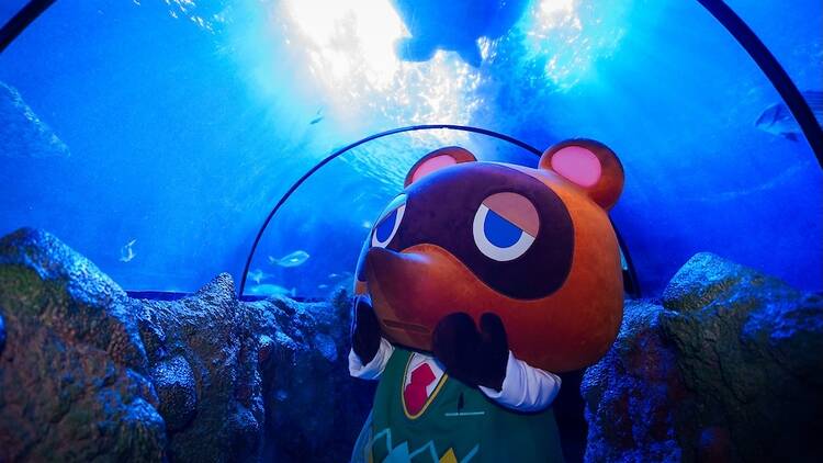 Sea Life London Aquarium, Animal Crossing