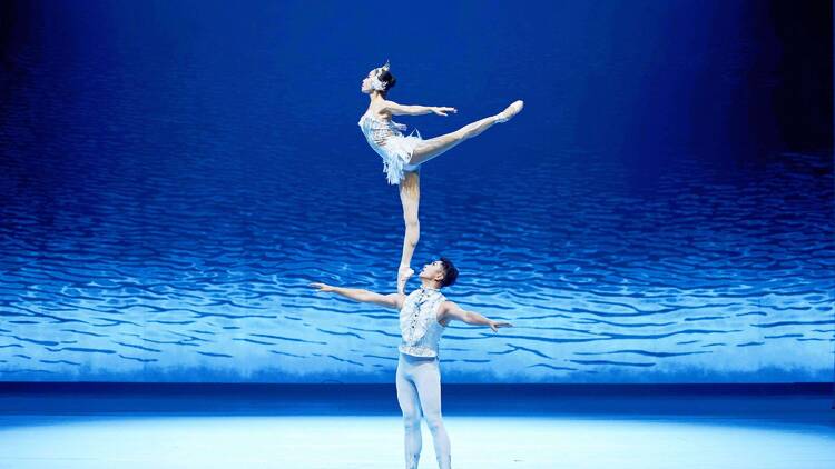 El Lago de los Cisnes Acrobático