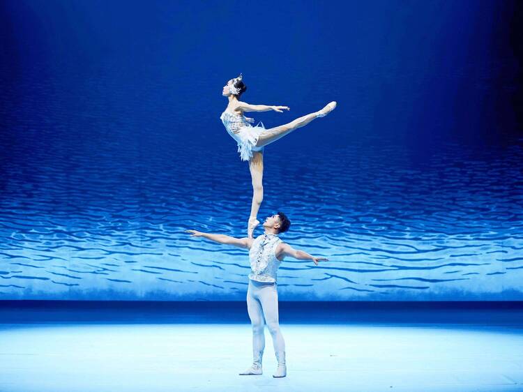 El Lago de los Cisnes Acrobático