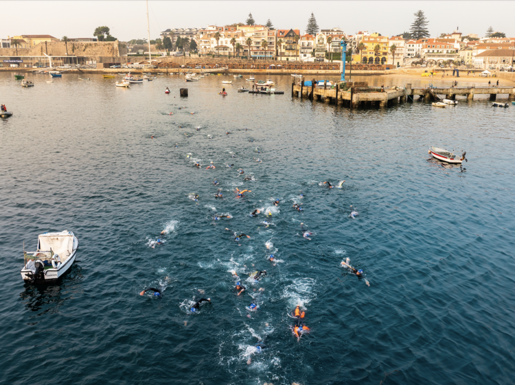 Inspirar-se nos nadadores do Swim Grand Prix