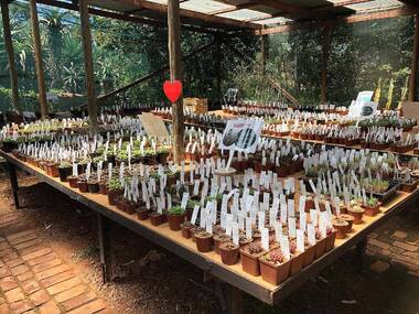 The 9 Best Shops in Pretoria The 9 Best Shops in Pretoria