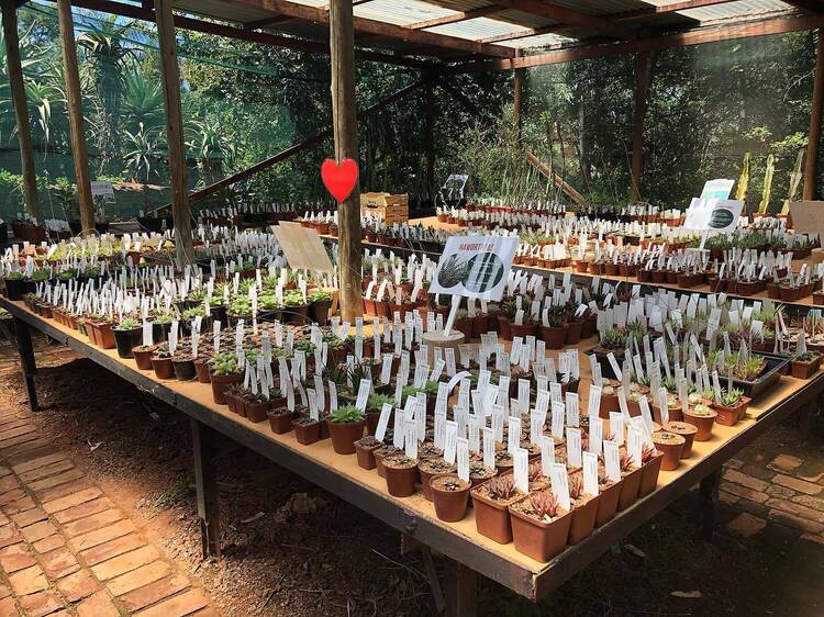 The 9 Best Shops in Pretoria