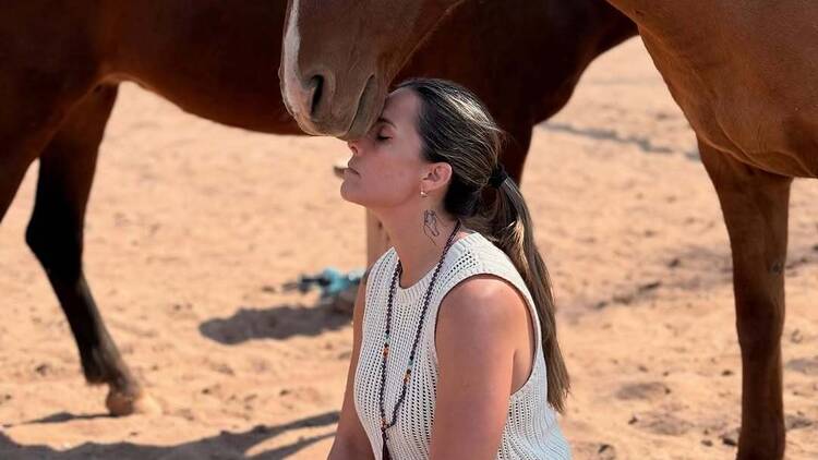 Family Constellations with Horses