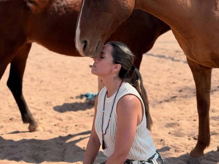 Family Constellations with Horses