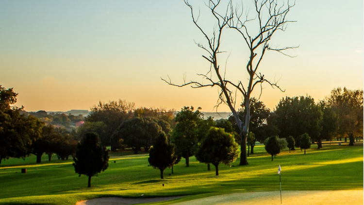 Hit the links