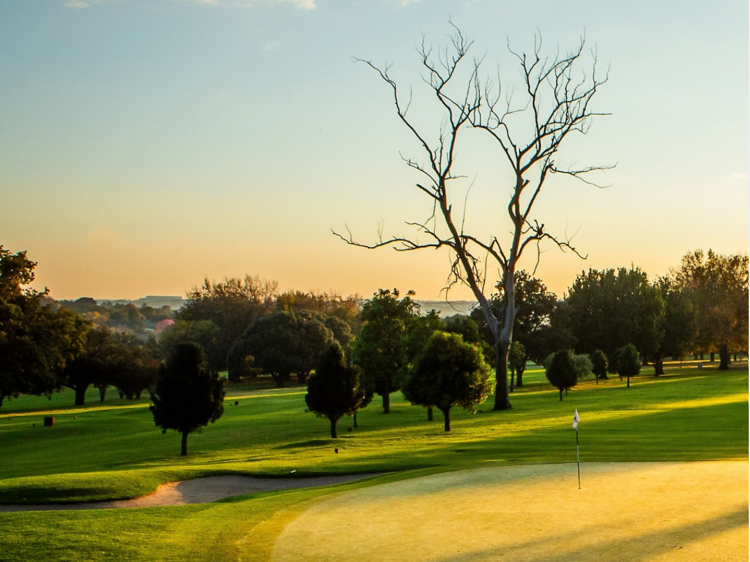 Hit the links