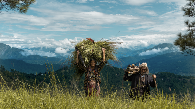 Discover your new favourite director at London Indian Film Festival