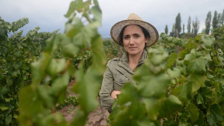 Laura Catena, the scientific heart of Argentine wine