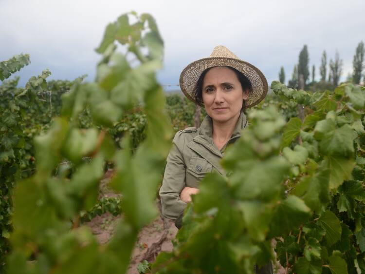 Laura Catena, el corazón científico del vino argentino