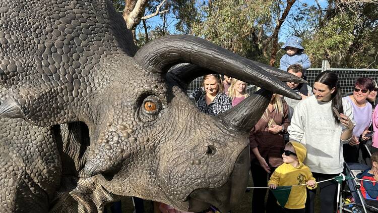 Get up close with big creatures at DinoFest